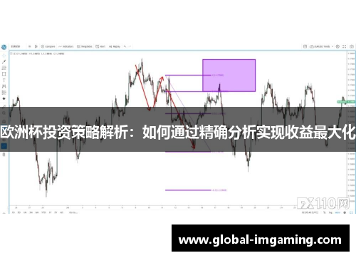 欧洲杯投资策略解析：如何通过精确分析实现收益最大化
