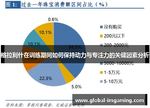 格拉利什在训练期间如何保持动力与专注力的关键因素分析