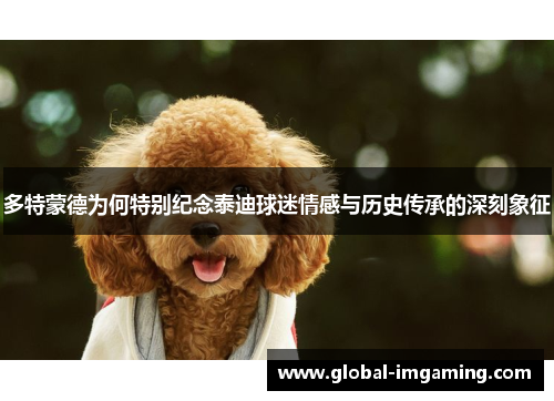 多特蒙德为何特别纪念泰迪球迷情感与历史传承的深刻象征
