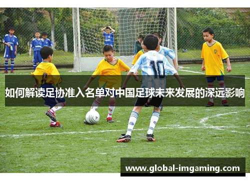 如何解读足协准入名单对中国足球未来发展的深远影响
